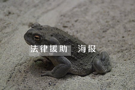 法律援助 海报